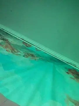 Cam4 Free Live Porn of Sofiita_dolls