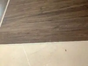 Cam4 Live Porn of Javi2024