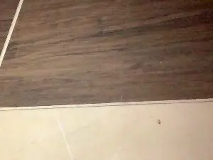Cam4 Live Sex of Javi2024