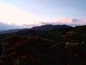 Cam4 Live Sex of Remote_live