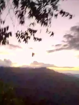 Cam4 Sex Cam of Remote_live