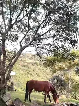 Cam4 Nude Webcam of Remote_live