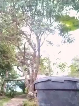 Cam4 Sex Cam of Remote_live