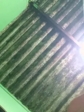 Cam4 Sex Chat of guilher67