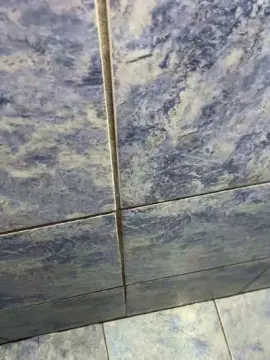 Cam4 Adult Video Chat of gabrielll18