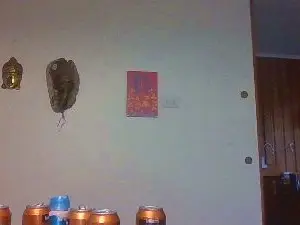 Cam4 Live Sex of elfrutass