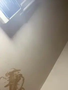 Cam4 Watch Live Sex Cams of Bahia196