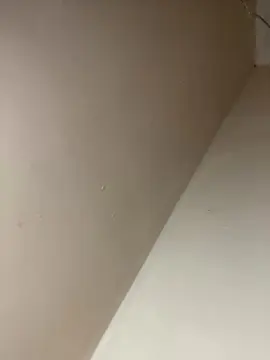 Cam4 Live Sex Cam of Bahia196