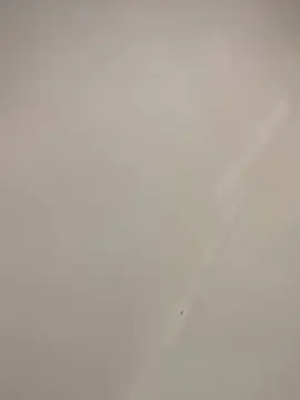 Cam4 Live Porn of Bahia196