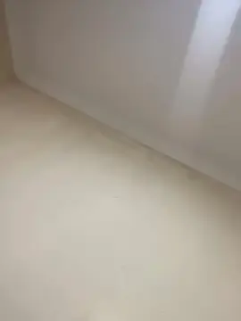 Cam4 Adult Webcam of Bahia196