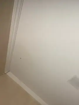 Cam4 Best live sex cam show of Bahia196