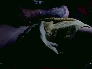 Cam4 Free Live Porn of Dusty2320