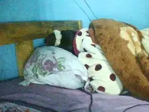 Cam4 Nude Webcam of Nataach29