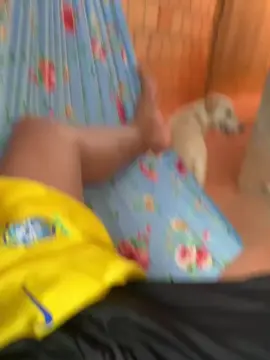 Cam4 Free Live Porn of NovinSafdoBR