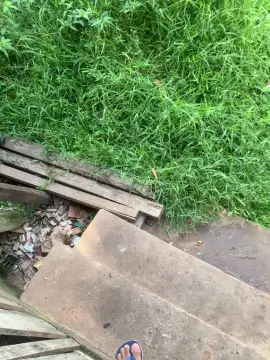 Cam4 Sex Cam of NovinSafdoBR