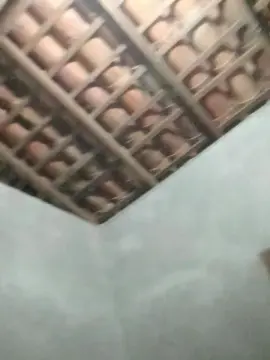 Cam4 Adult Webcam of capetinha1821