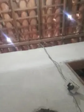 Cam4 Watch Live Sex Cams of capetinha1821