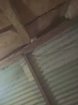 Cam4 Private Sex Chat of capetinha1821