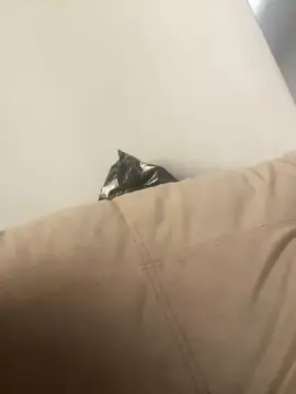 Cam4 Sex Chat of rodrigo39600