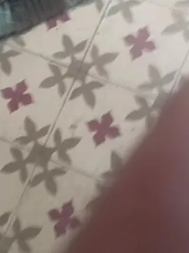 Cam4 Adult Video Chat of Modelteen