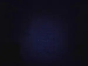 Cam4 Live Sex of ice_monkey