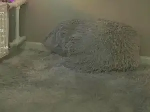 Cam4 Free Live Porn of RettaMahall