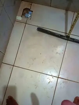 Cam4 Adult Video Chat of Emerson832