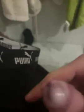 Cam4 Live Porn of Cavallo397