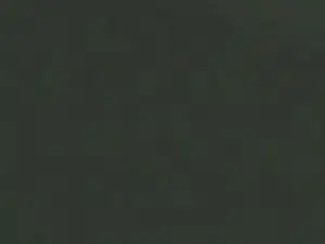 Cam4 Private Sex Chat of Gatta444