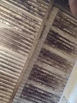 Cam4 Nude Webcam of mgzin