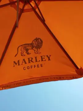 Cam4 Sex Cam of mamasita251