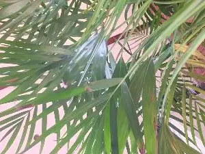 Cam4 Adult Webcam of SvenTwinkboy