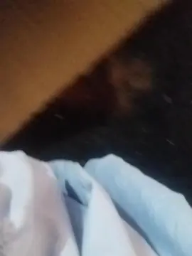 Cam4 Live Sex of tiago23hot