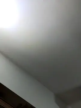 Cam4 Sex Chat of chulodelghetto1