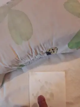 Cam4 Private Sex Chat of Atraccion077