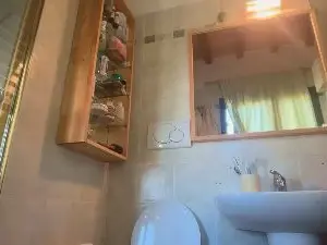 Cam4 Best live sex cam show of Alexbisex3040