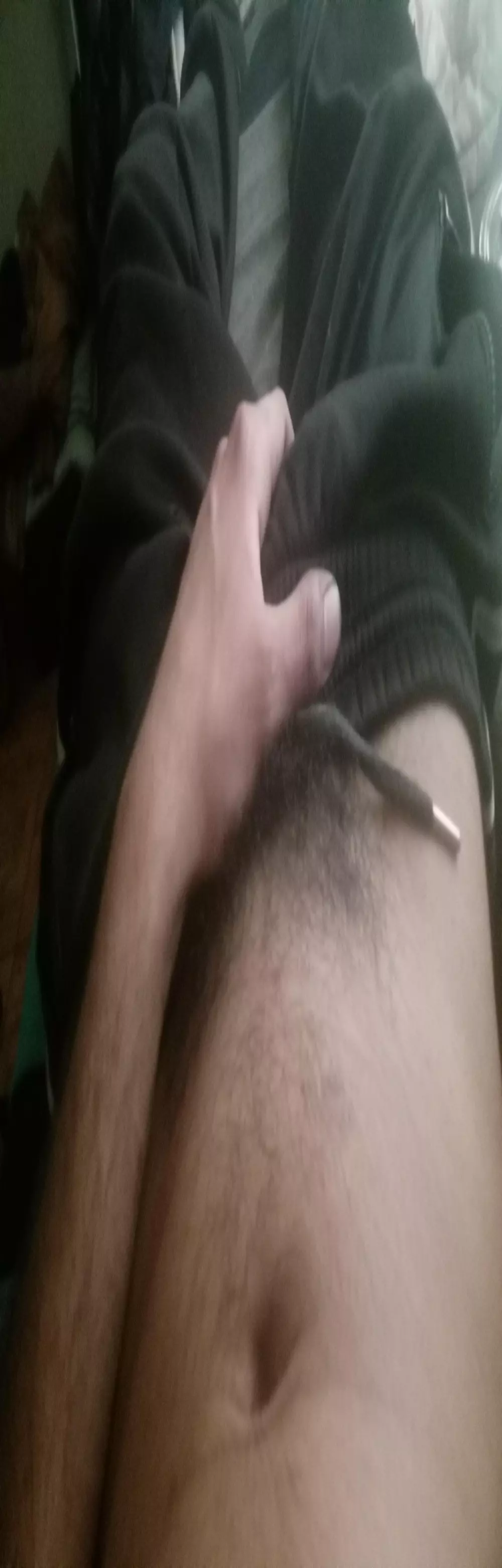 elpalpitante