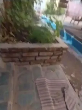 Cam4 Free Porn Cam of luz091