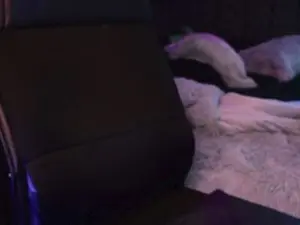 Cam4 Free Porn Cam of DemonKushx