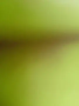 Cam4 Sex Cam of PAUZUDONORDESTI