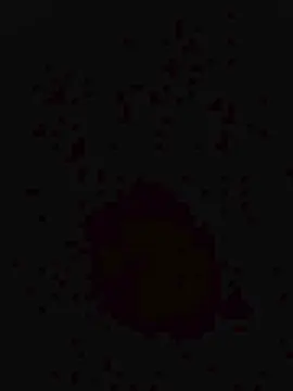 Cam4 Adult Webcams of Orazio0701