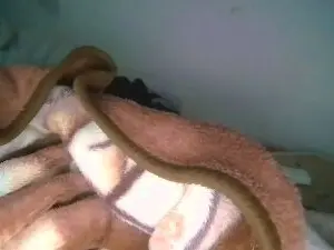 Cam4 Sex Chat of alberto3023