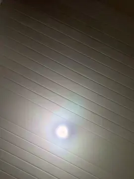 Cam4 Free Live Porn of Polezz