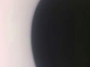 Cam4 Adult Webcam of pibetigrexxx