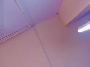 Cam4 Adult Webcam of Amy_Kiitty