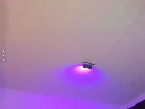 Cam4 Sex Cam of Amy_Kiitty