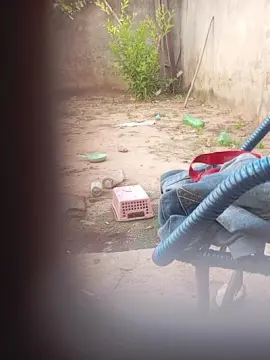 Cam4 Nude Webcam of PIROKUDO89