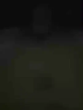 Cam4 Free Live Porn of Pau_preto0005