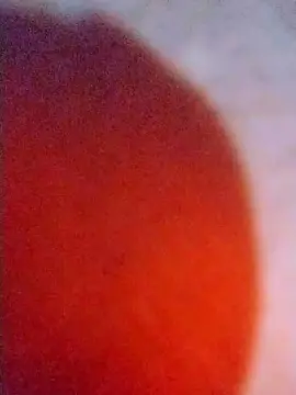 Cam4 Sex Cam of Neto123211