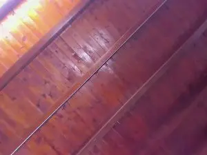 Cam4 Free Porn Cam of Afrodita_Rooss